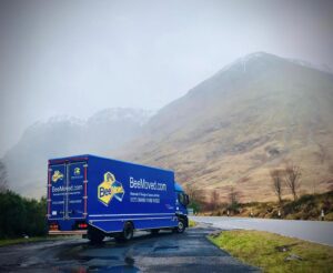 International Removals